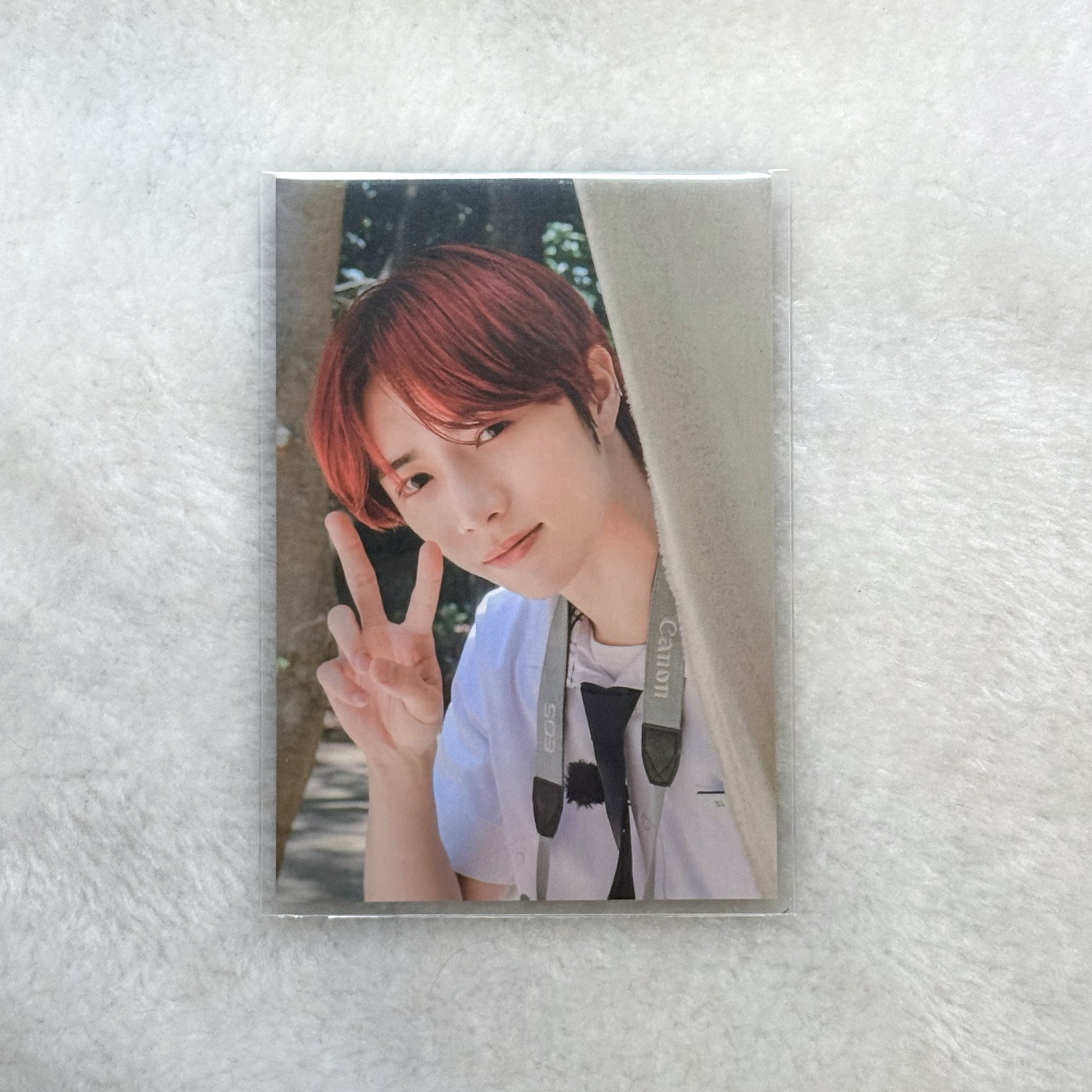 TXT杋圭 TODO博物館卡