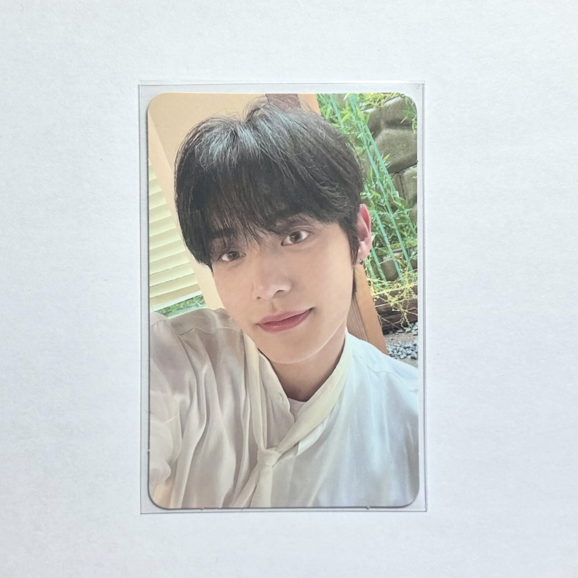 金地雄 迷一 shade ver 專卡