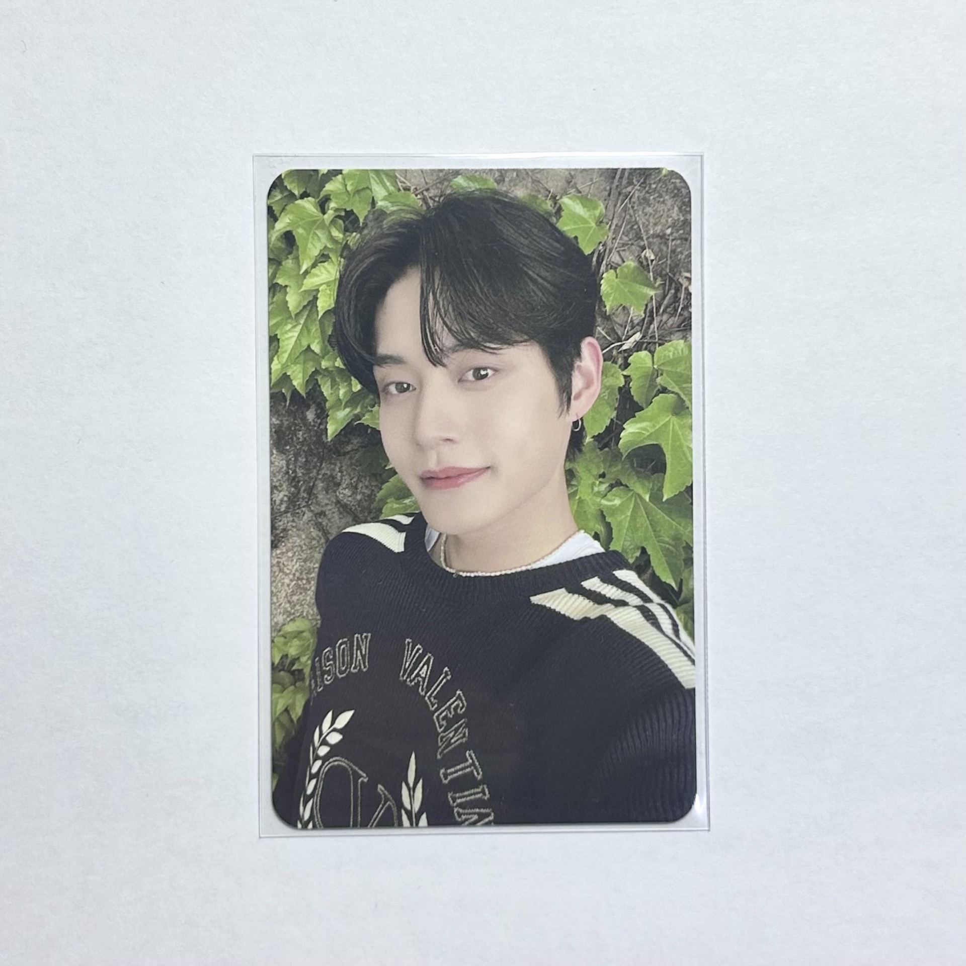 金地雄 一期會員 會員禮卡