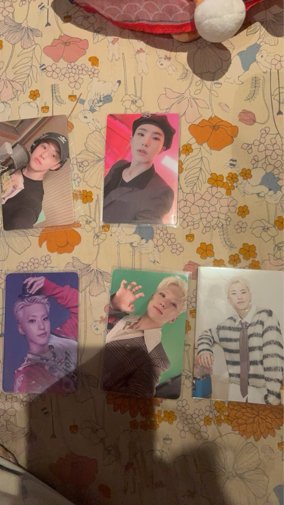 seventeen hoshi全部專卡+卡包卡