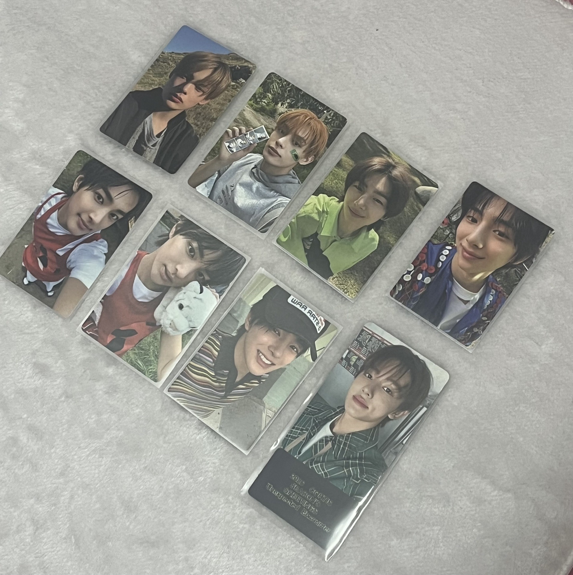 🐷🐶🐱專卡（單卡）