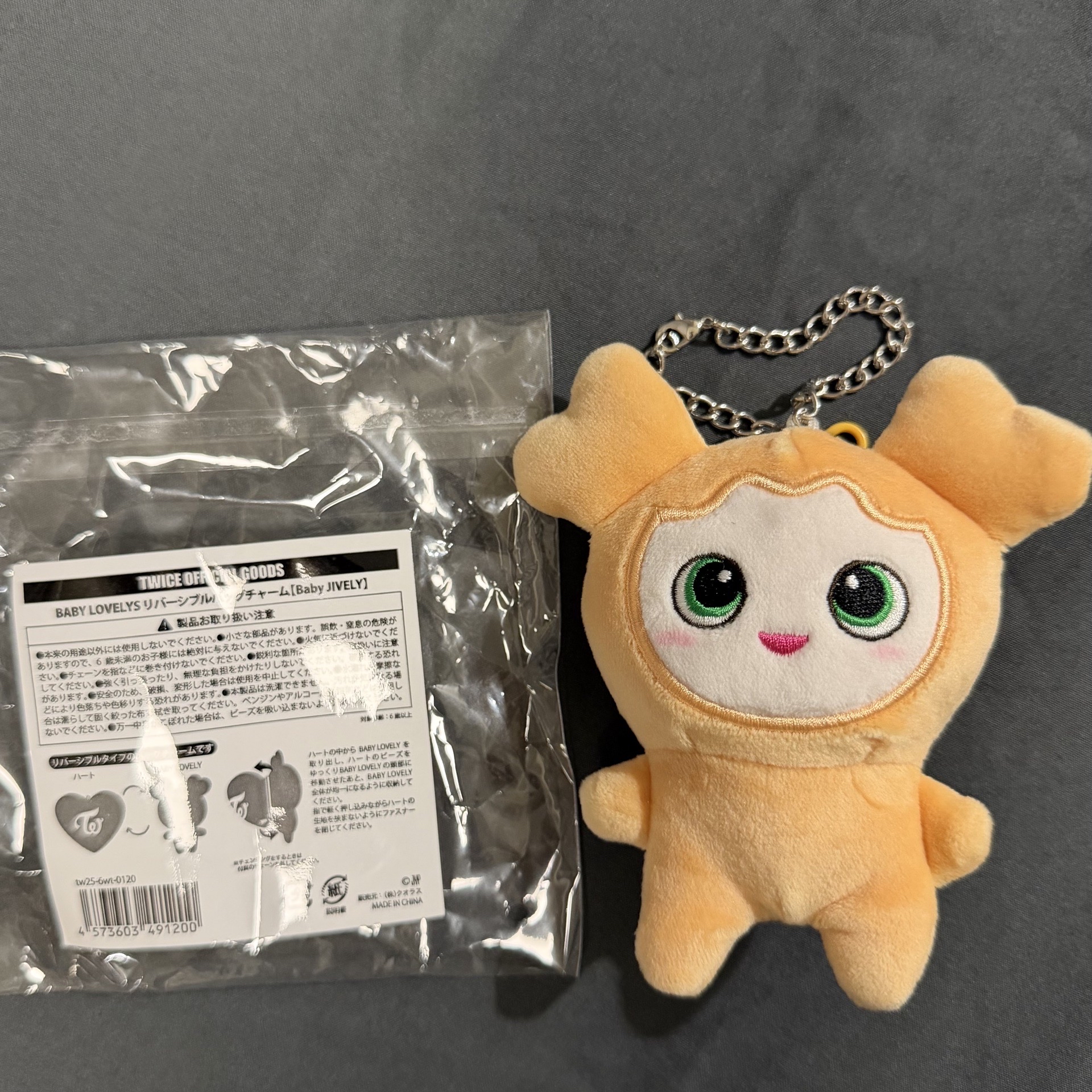 TWICE 志效 翻轉娃