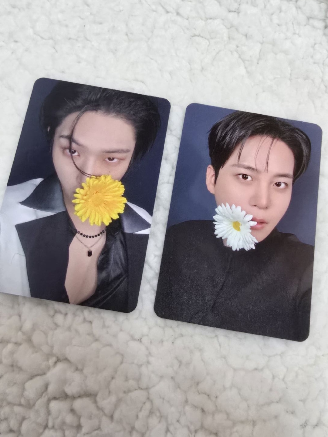 GH4 AM預售 特典卡