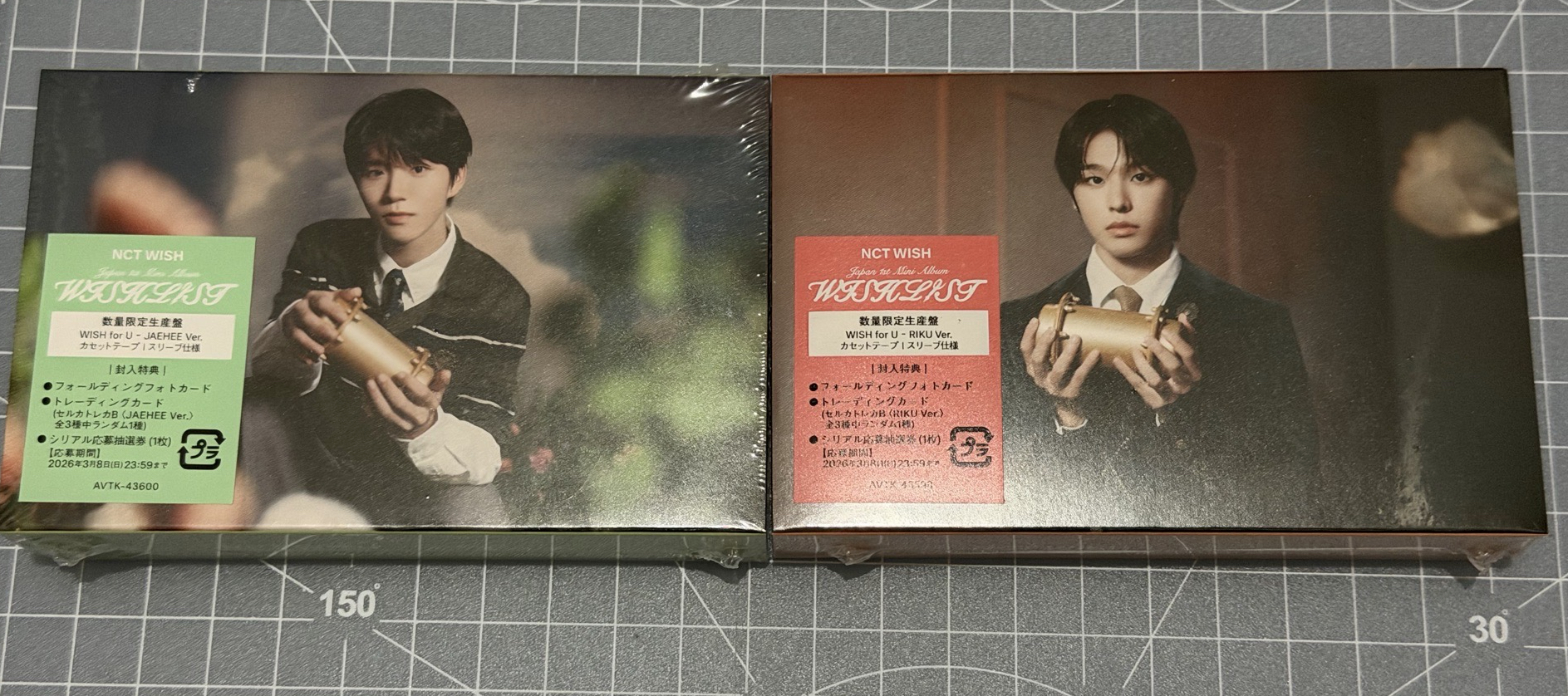 Wishlist wish for U 單封未拆 Riku/ Jaehee