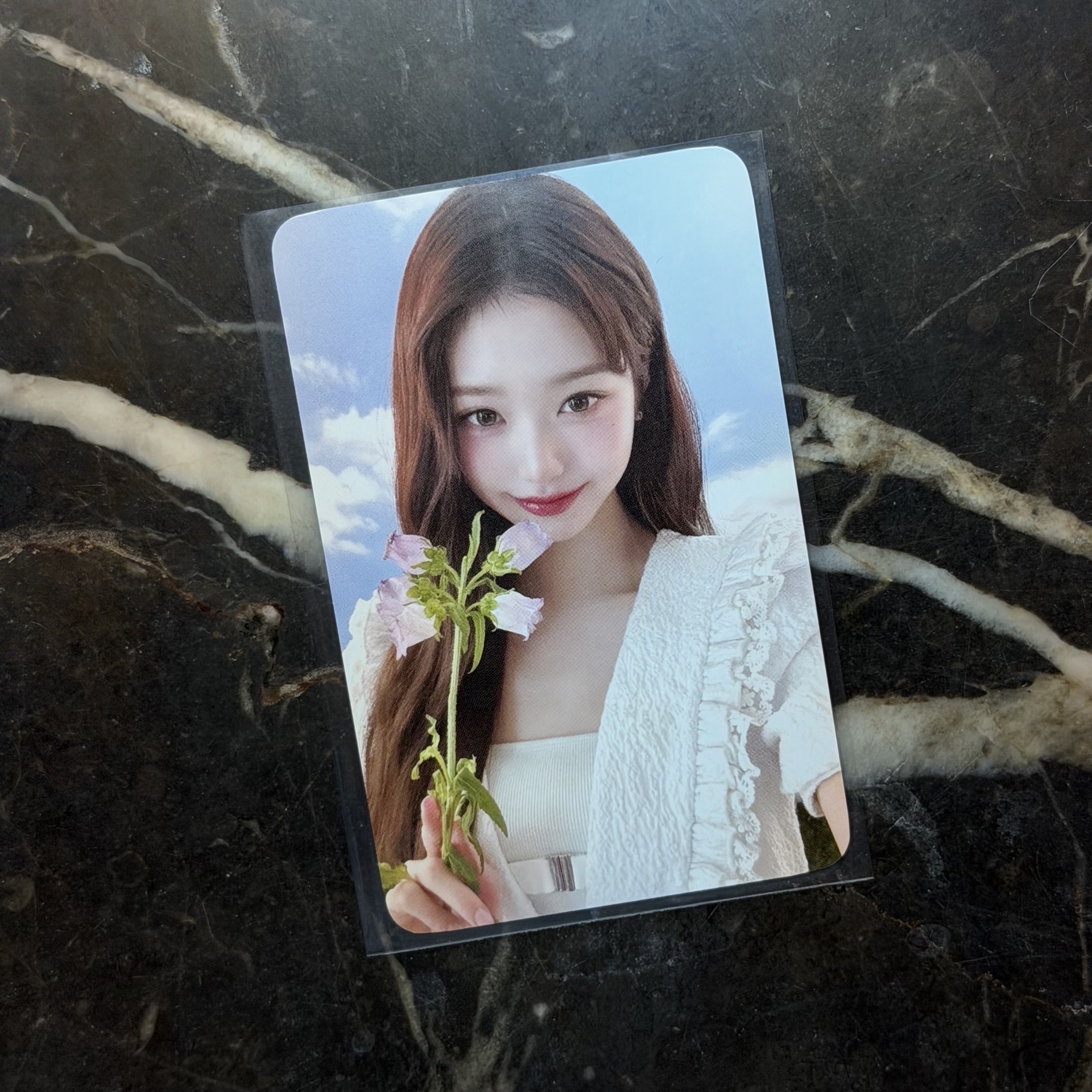 IVE 張員瑛 Hapa Kristin 隱眼卡