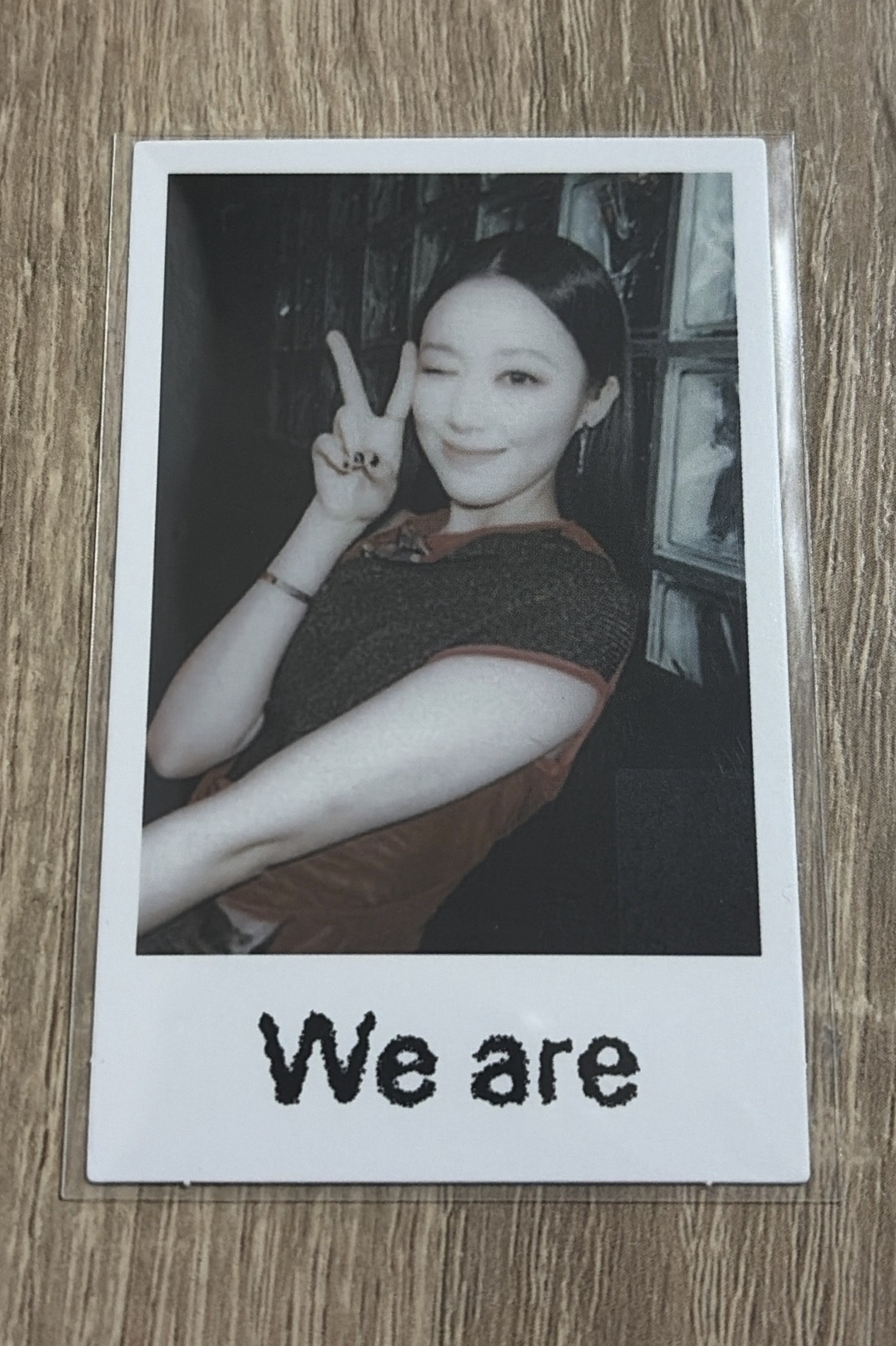 We are wvs 特典 刷