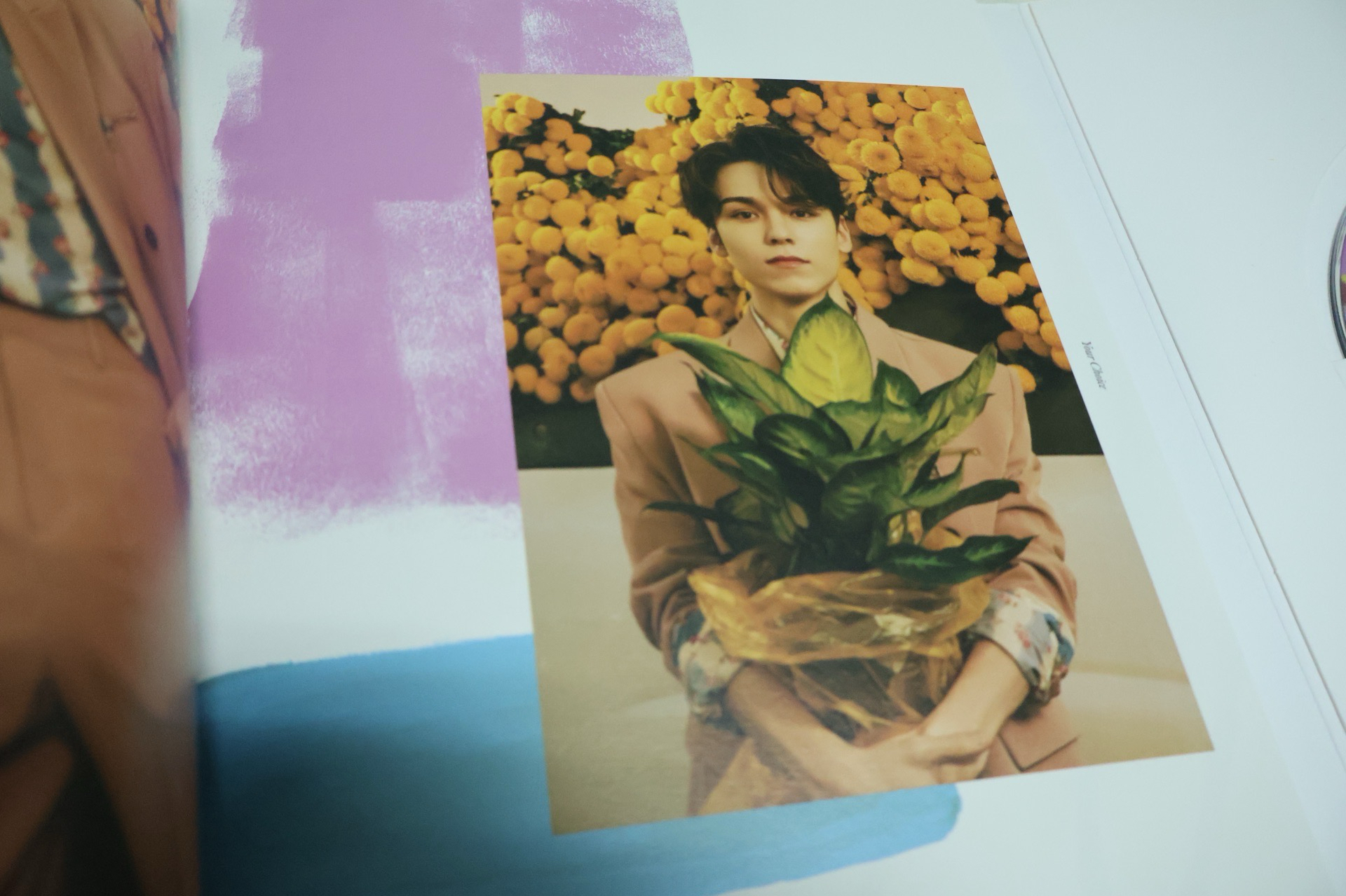 SVT mini8 one side空專（hiphop ）