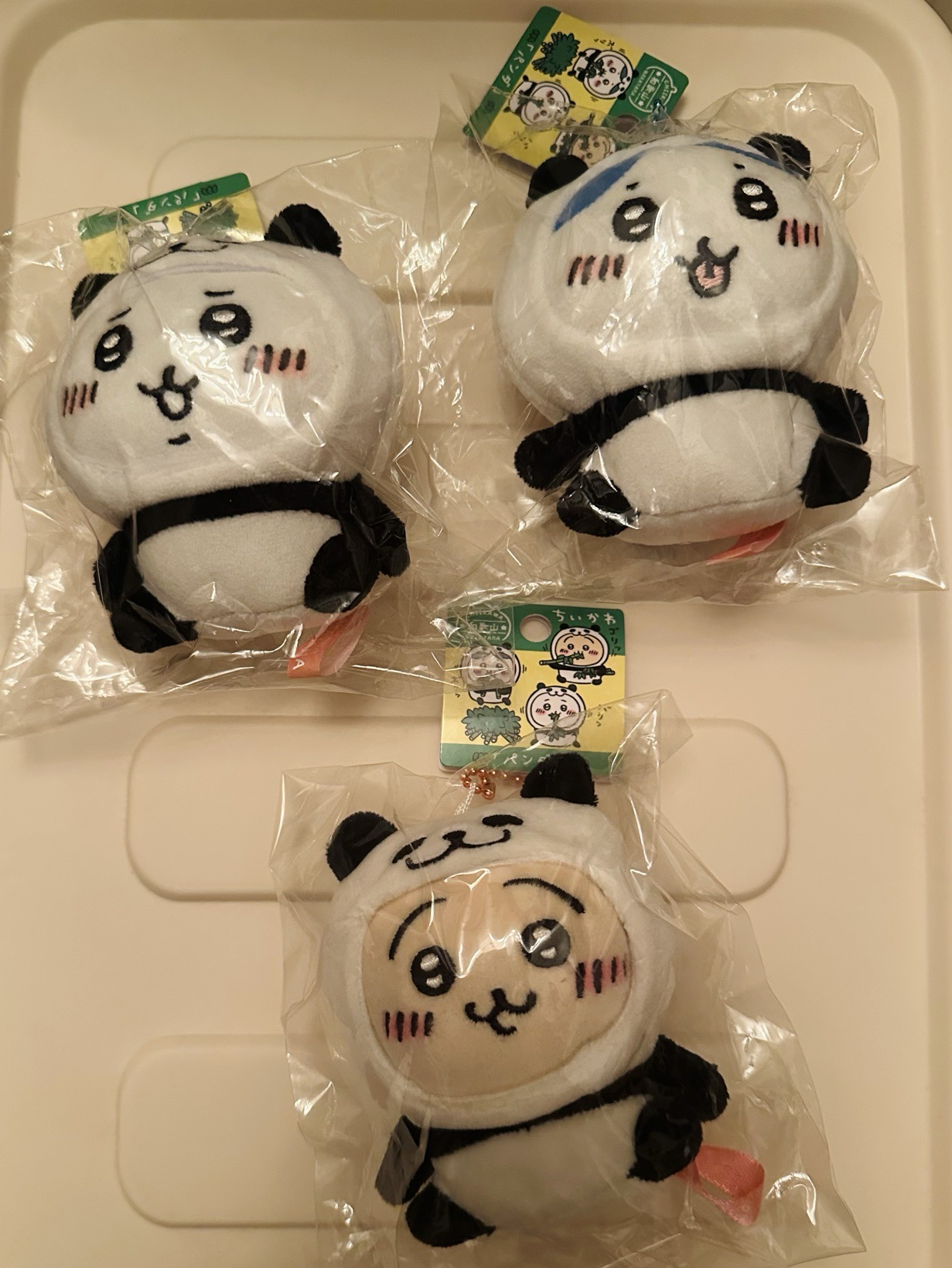 Chikawa 地區限定和歌山熊貓 小八吉伊烏薩奇