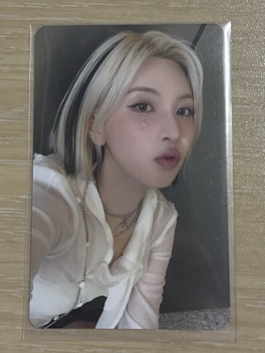 FORWARD ms 幸運卡 LD 年末裴