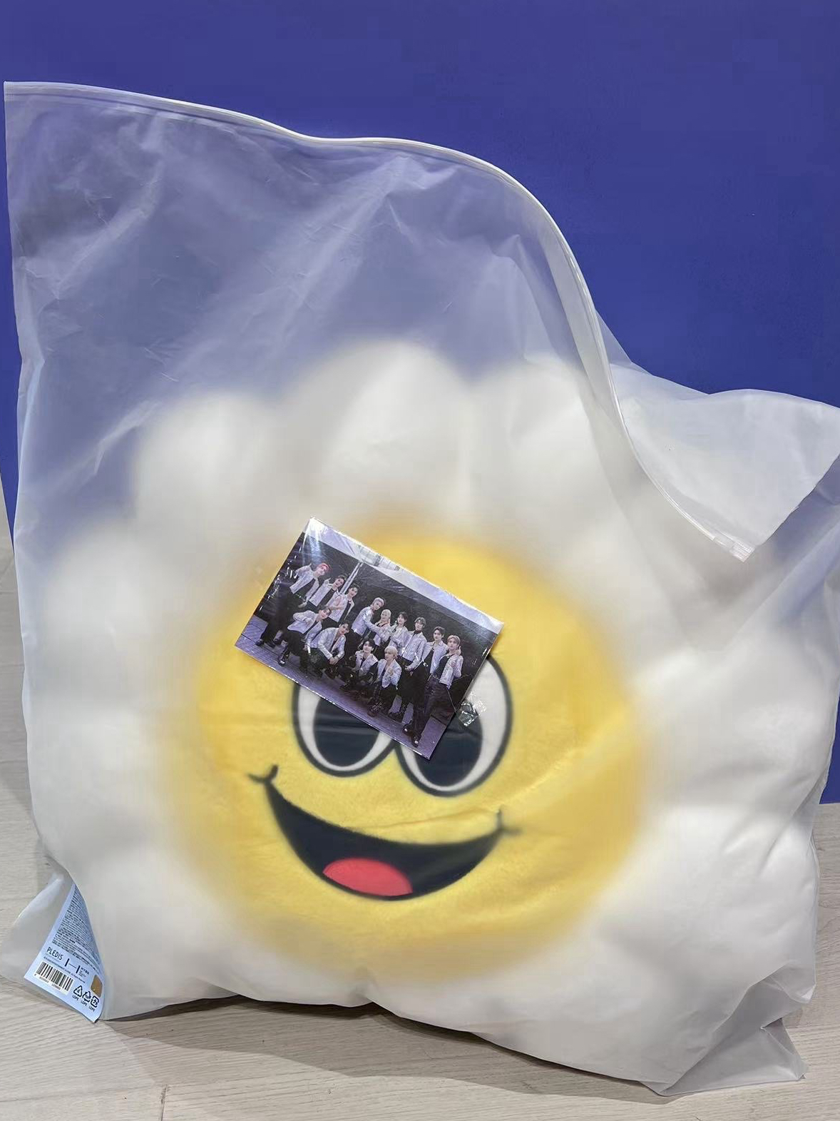 Follow Again 抱枕 太陽花抱枕