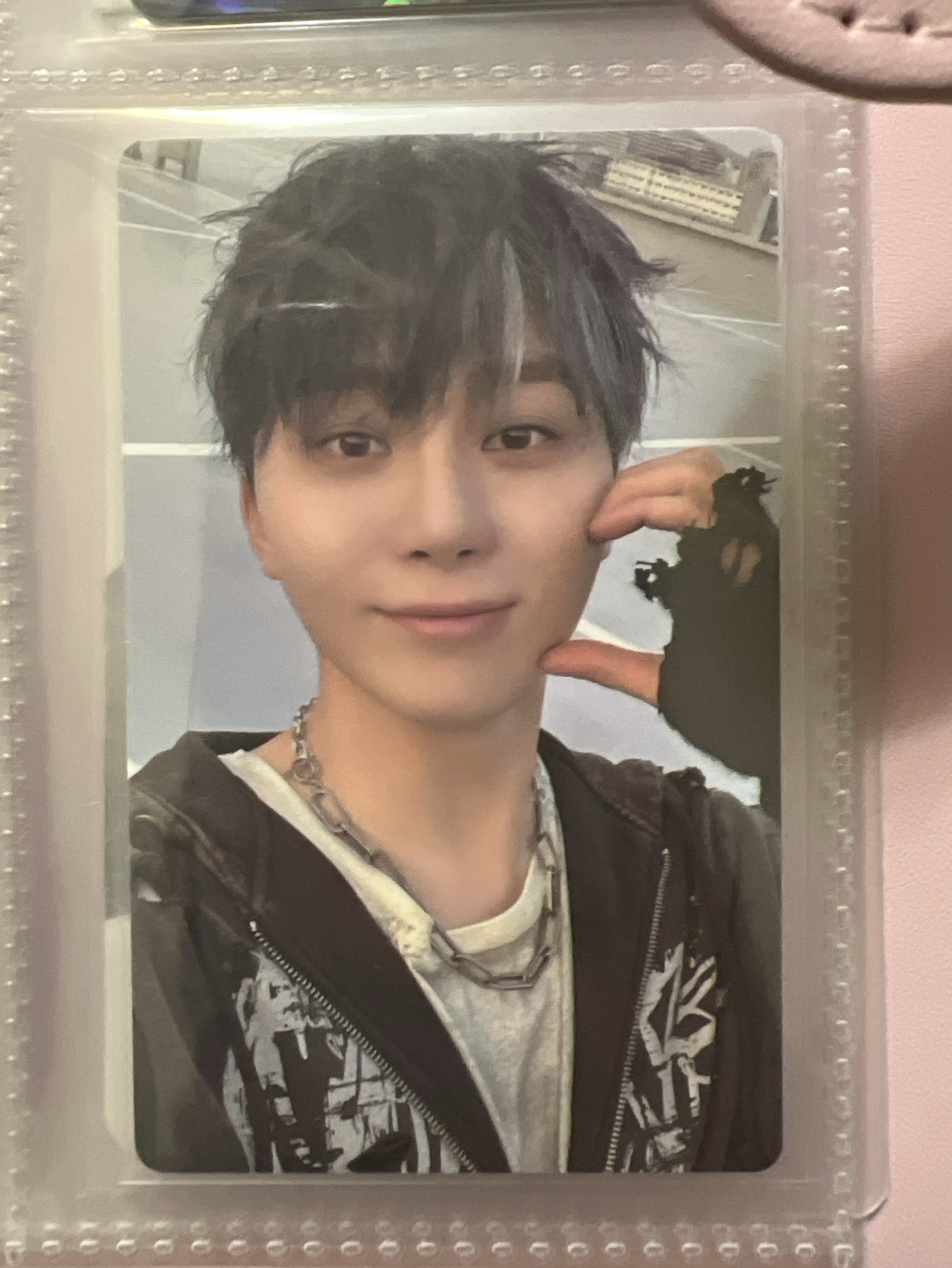 正規五wvs特典卡