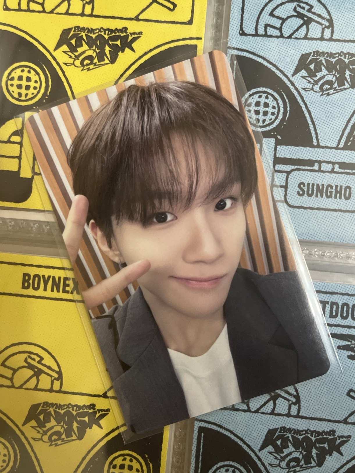 💛日本場限金雲鶴