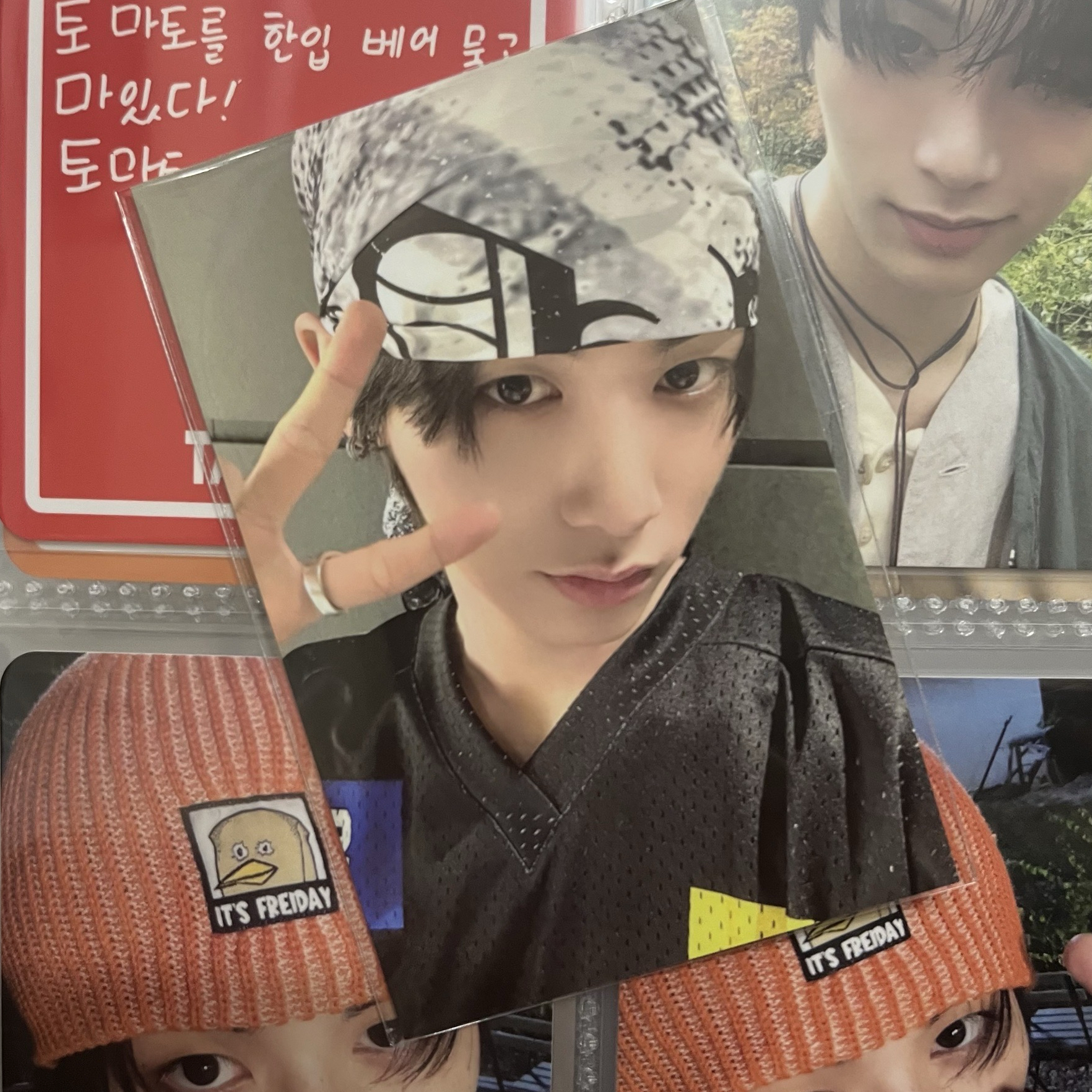 壽司師傅小貓咪