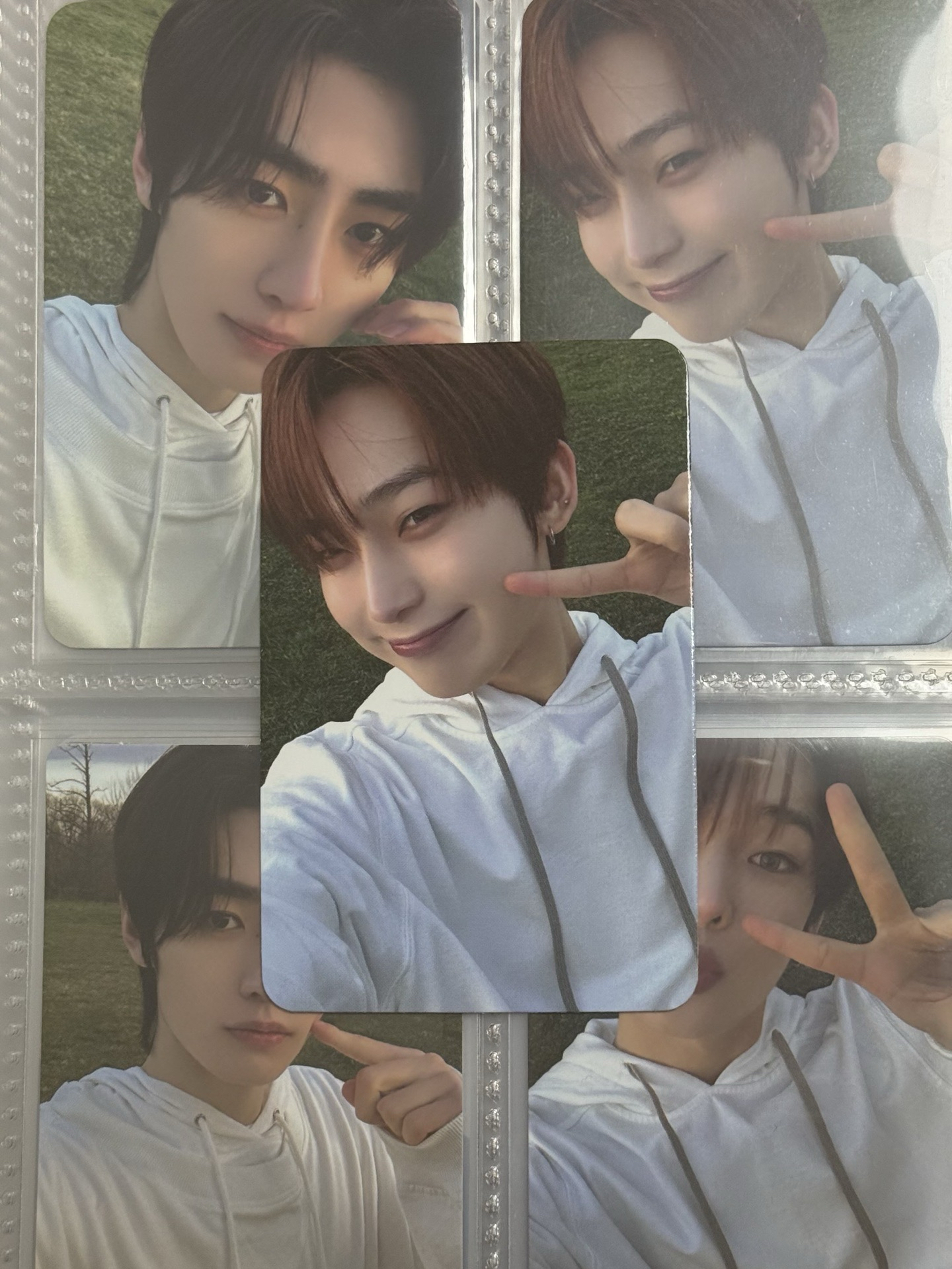 棕毛小狐狸寶寶