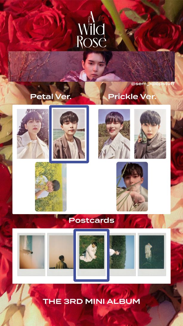 旭迷3 紅版全專