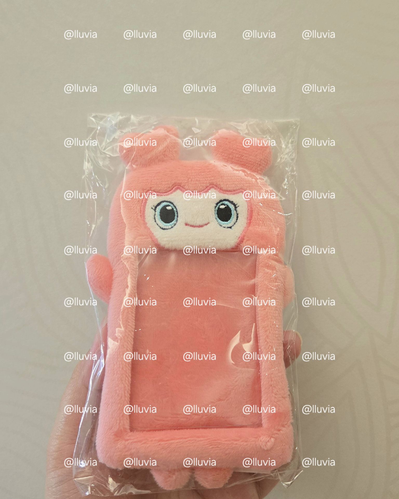 五巡 二代卡套 MOMO