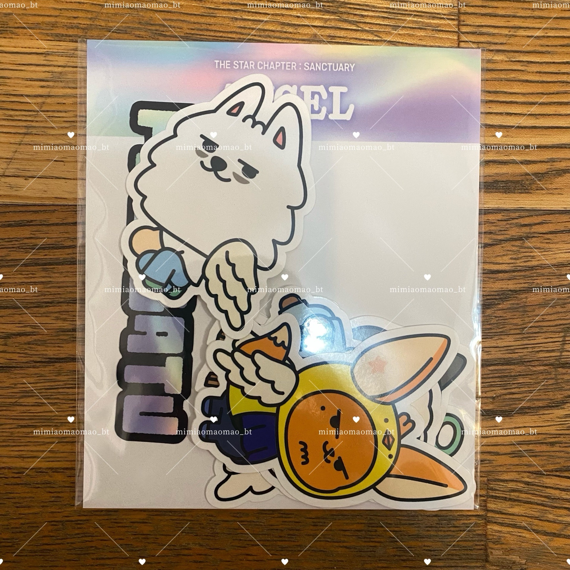 🩵Sanctuary 快閃綁物區