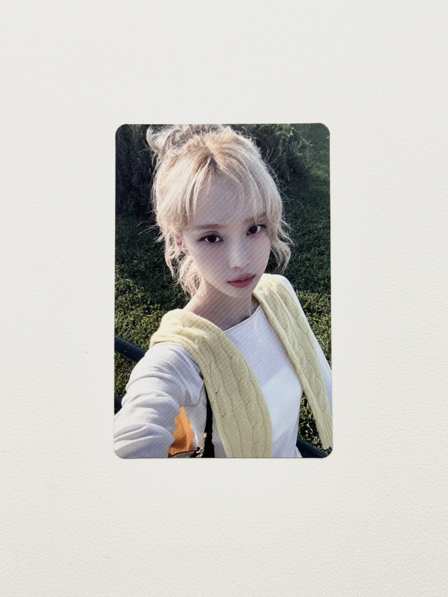 Whiplash hmv sm特典、幸運卡冬（兩張同造型）