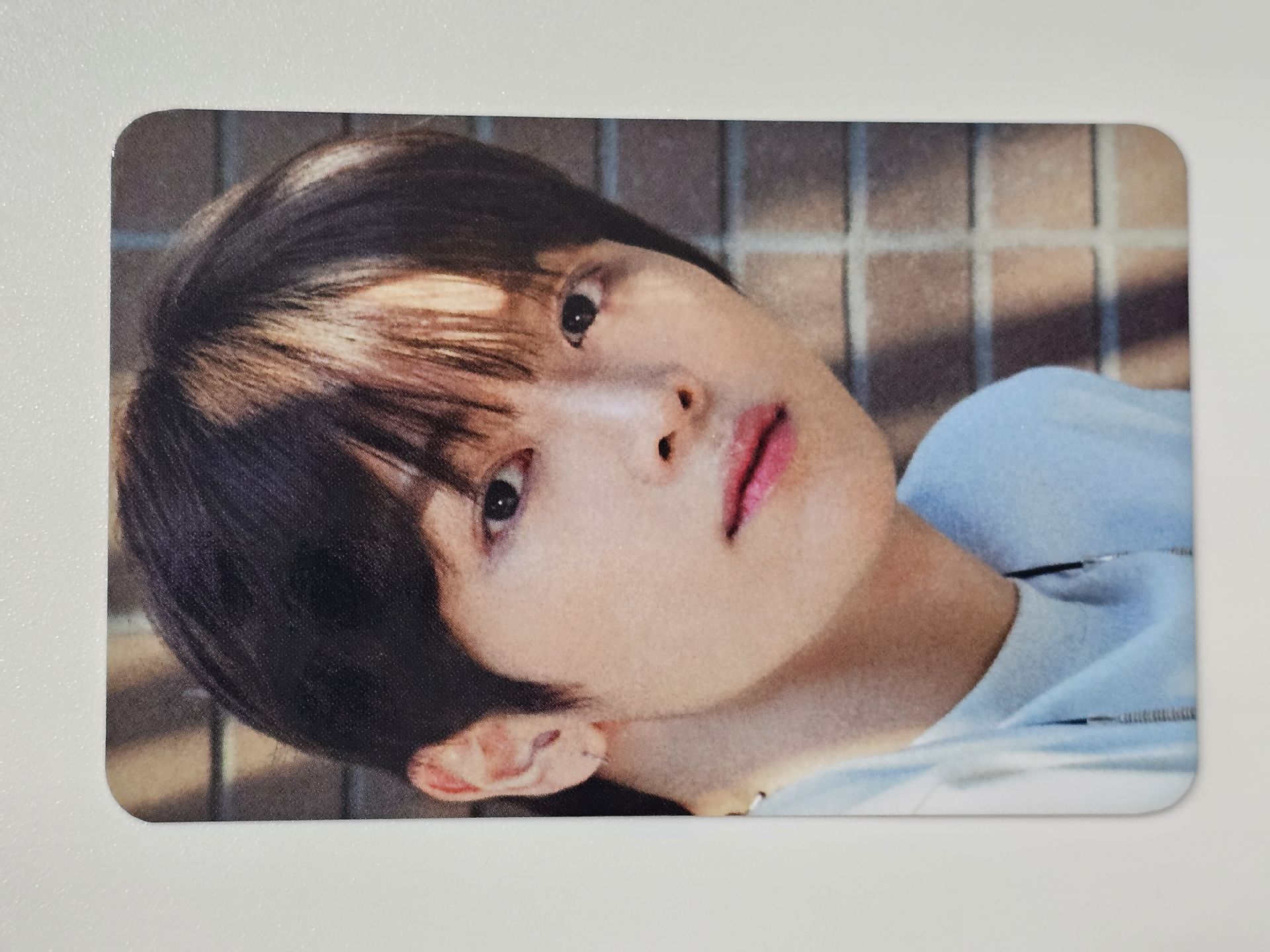 成燦 SMiniz 曠野活動任務卡