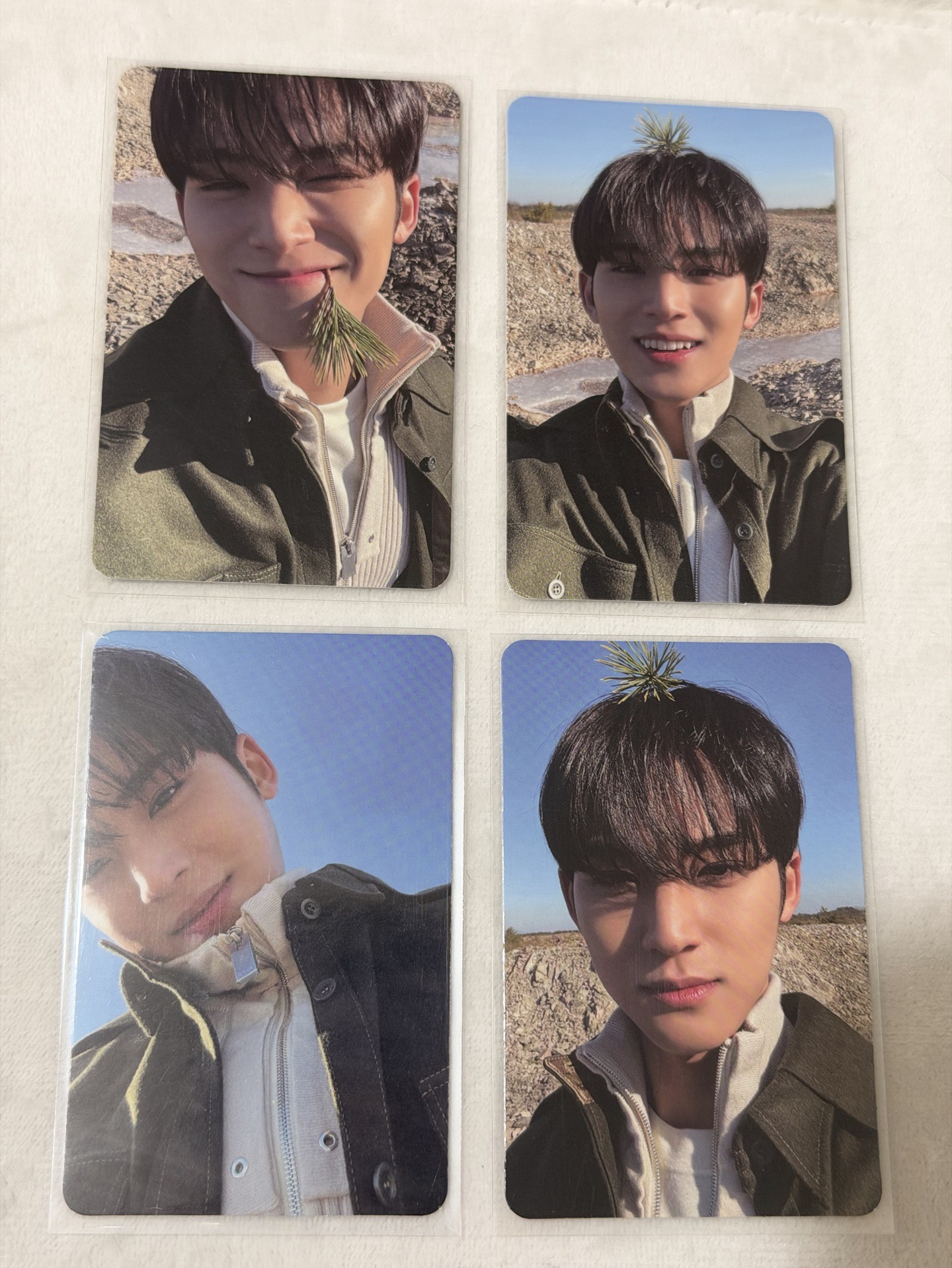 Seventeen 咬草奎 頂草奎