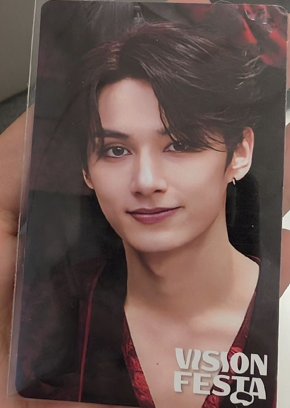 VISION FESTA 入場卡/場限卡