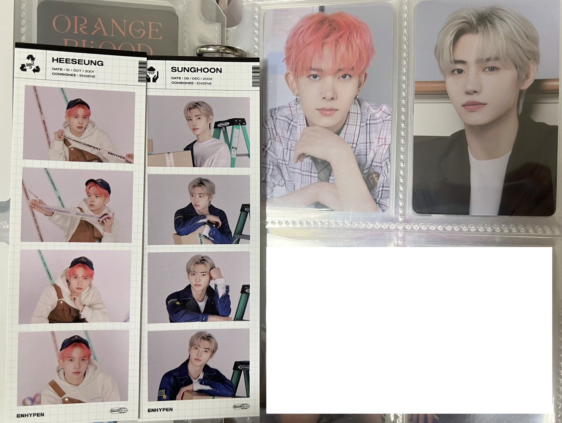 Enhypen 小卡+人生四格 羲承成訓