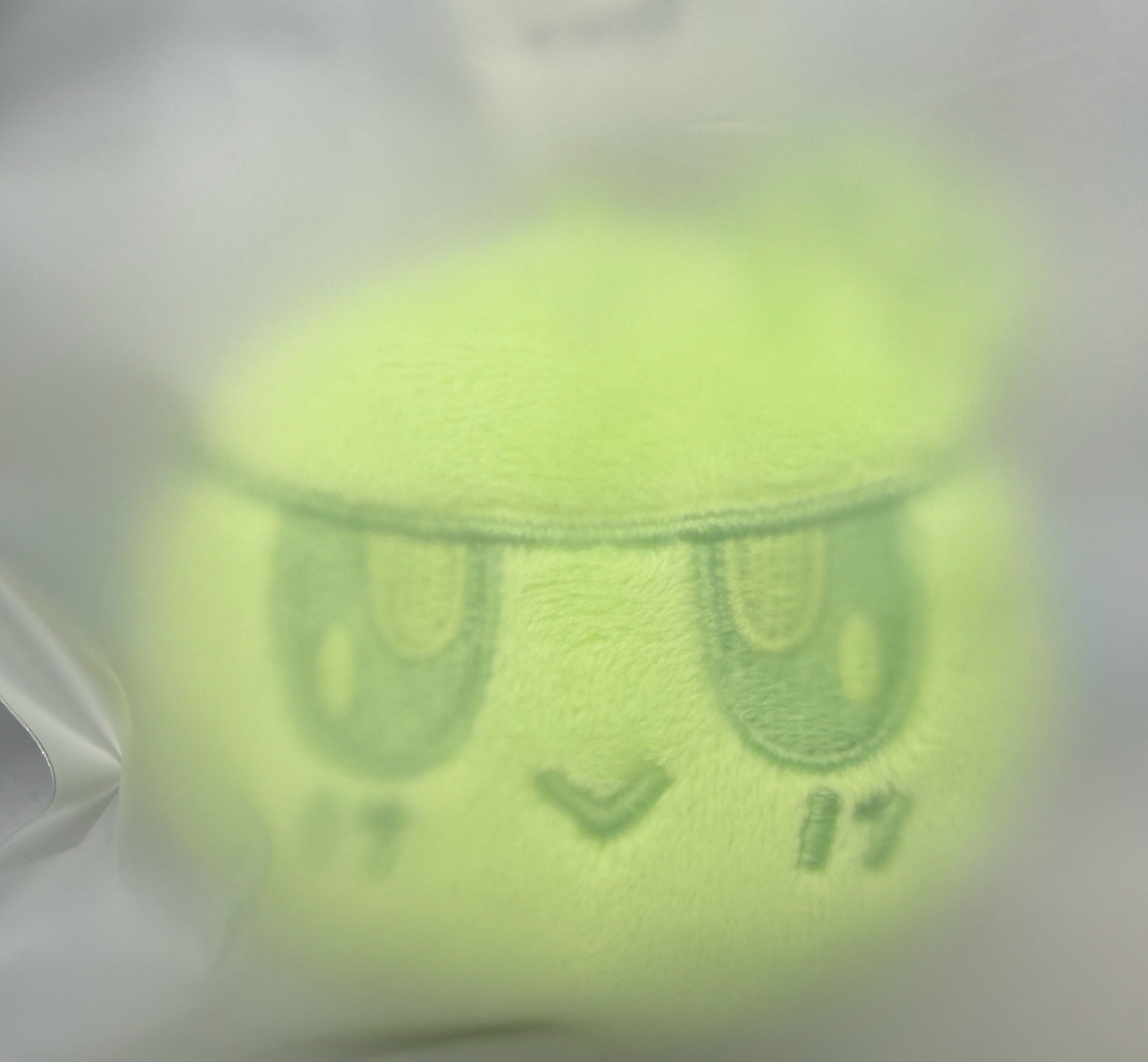 Seventeen 曼谷場帶回 綠色蹦蹦 全新現貨 不用等