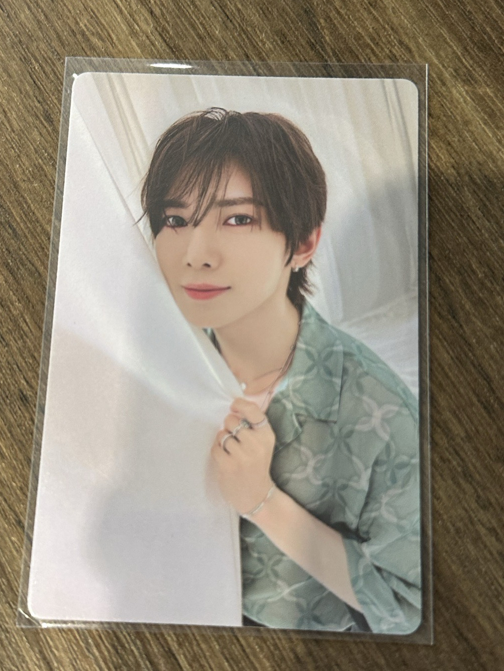 窗簾後的小狗狗