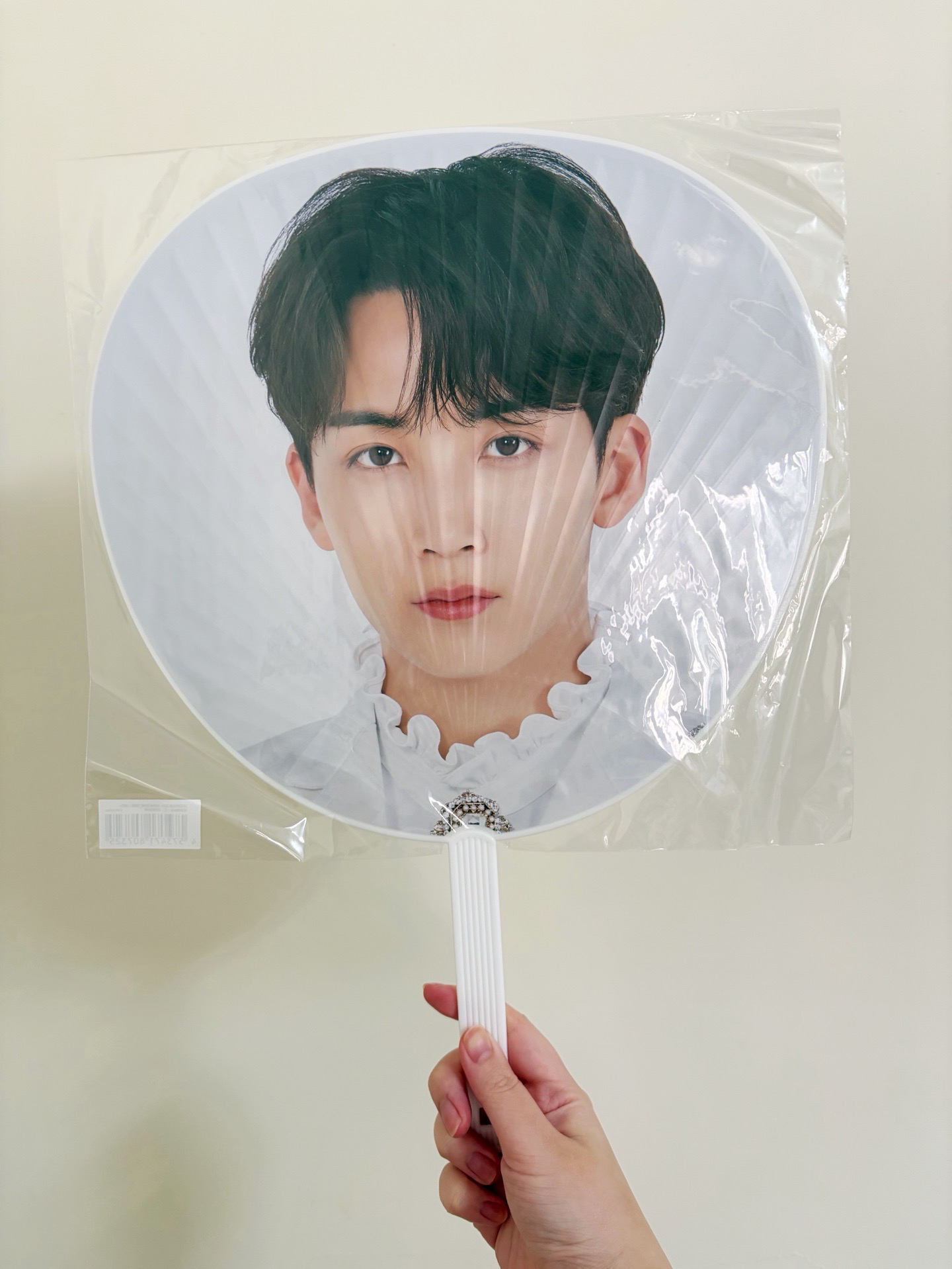 20‘蛋巡大扇 漢 A B ver