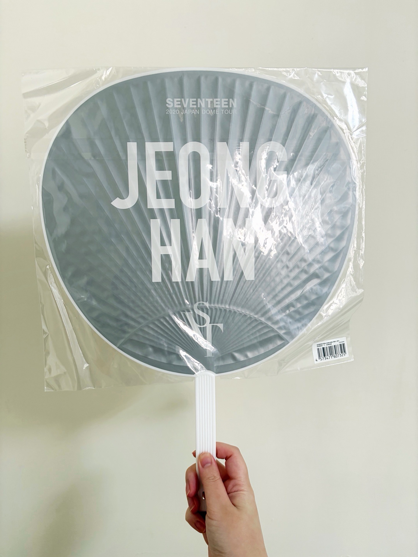 20‘蛋巡大扇 漢 A B ver