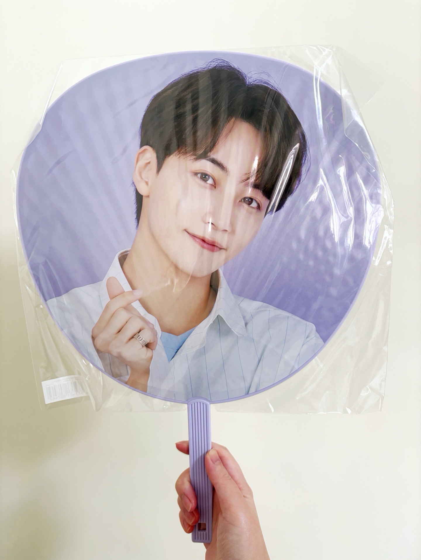 20‘蛋巡大扇 漢 A B ver