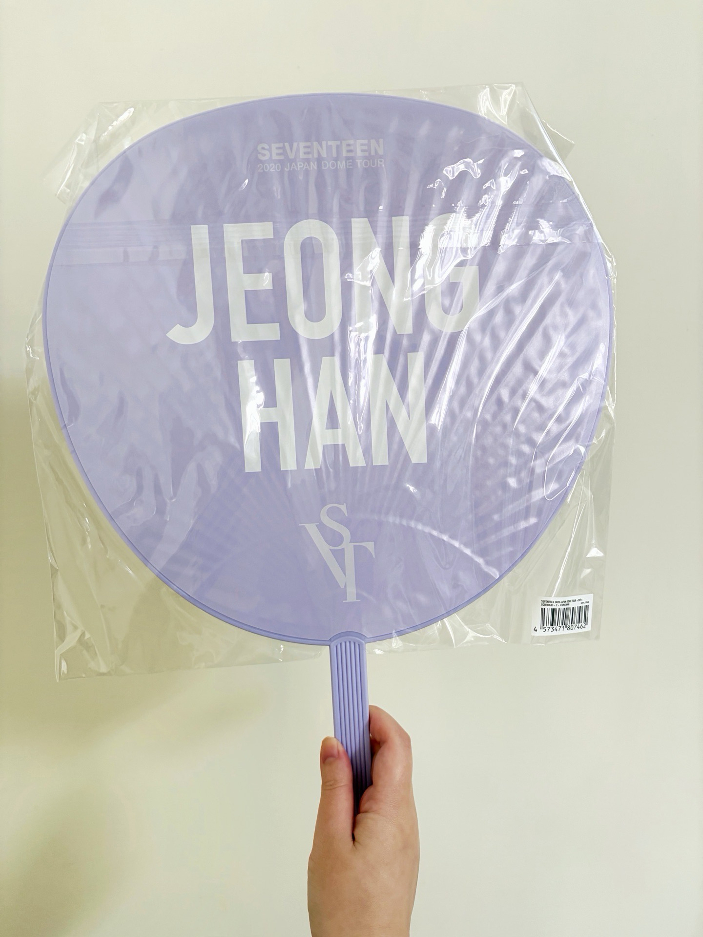 20‘蛋巡大扇 漢 A B ver