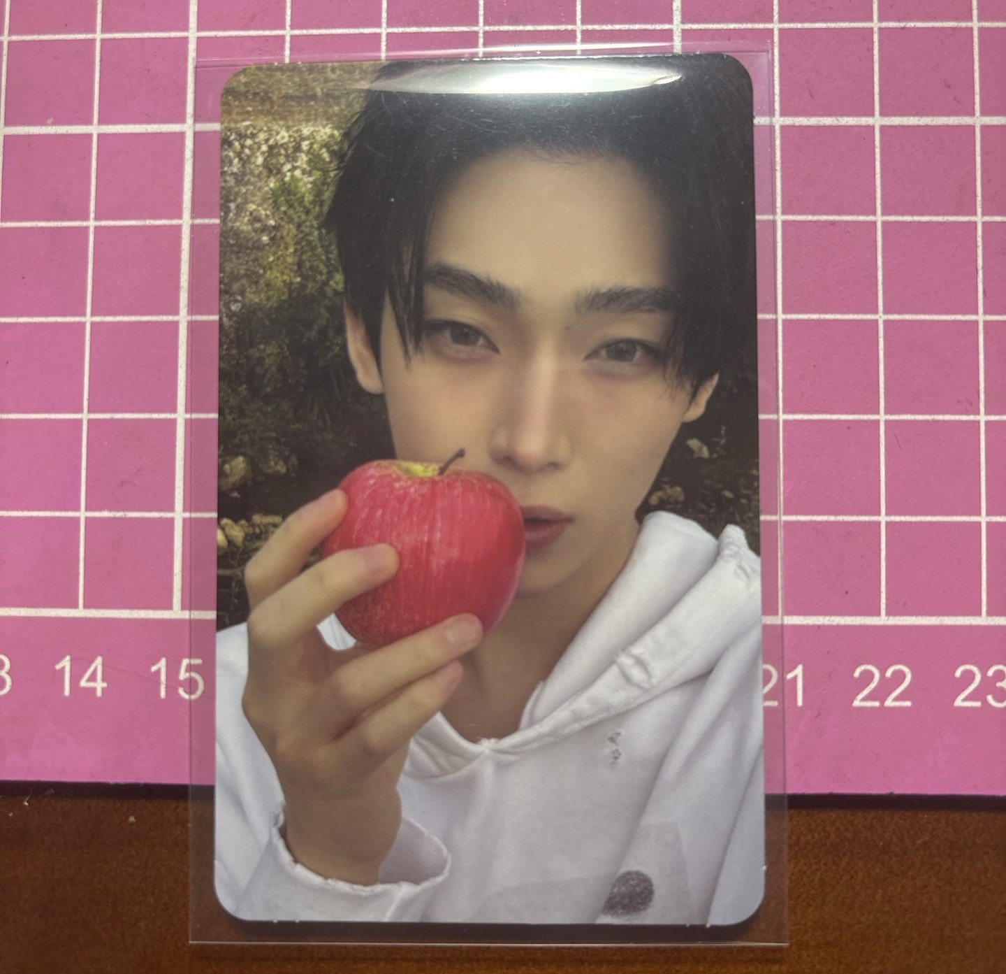 迷七禹單封專卡