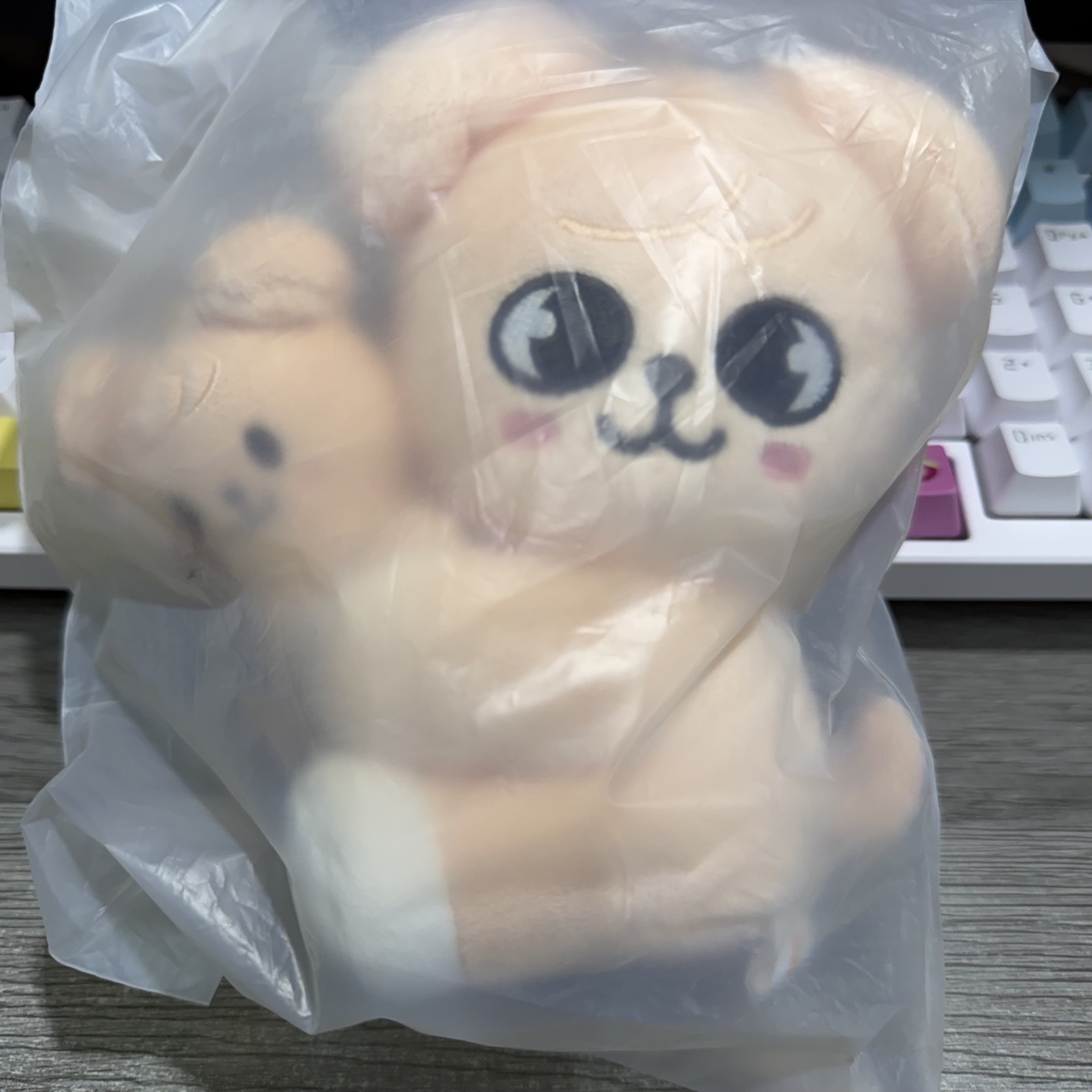 Stray Kids World Tour <dominATE : celebrATE>金昇玟抱娃