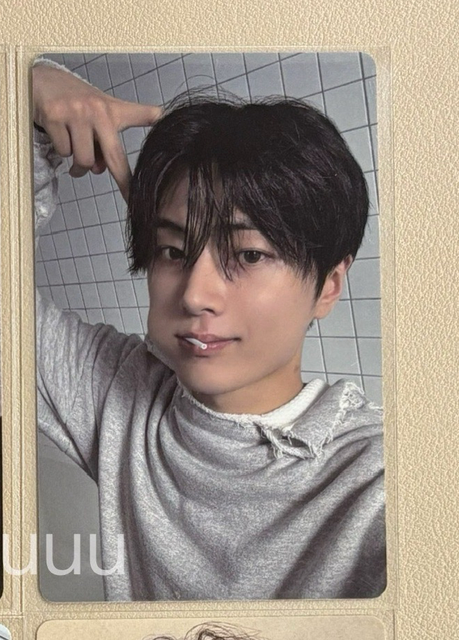 正規二後續 貓耳