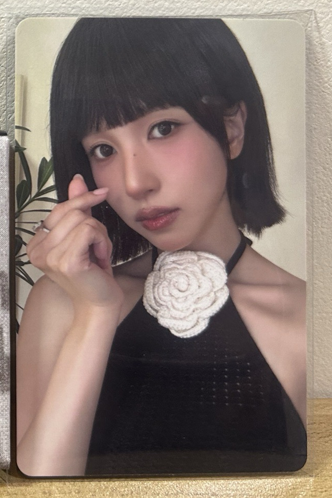 南醬電子專隨機卡