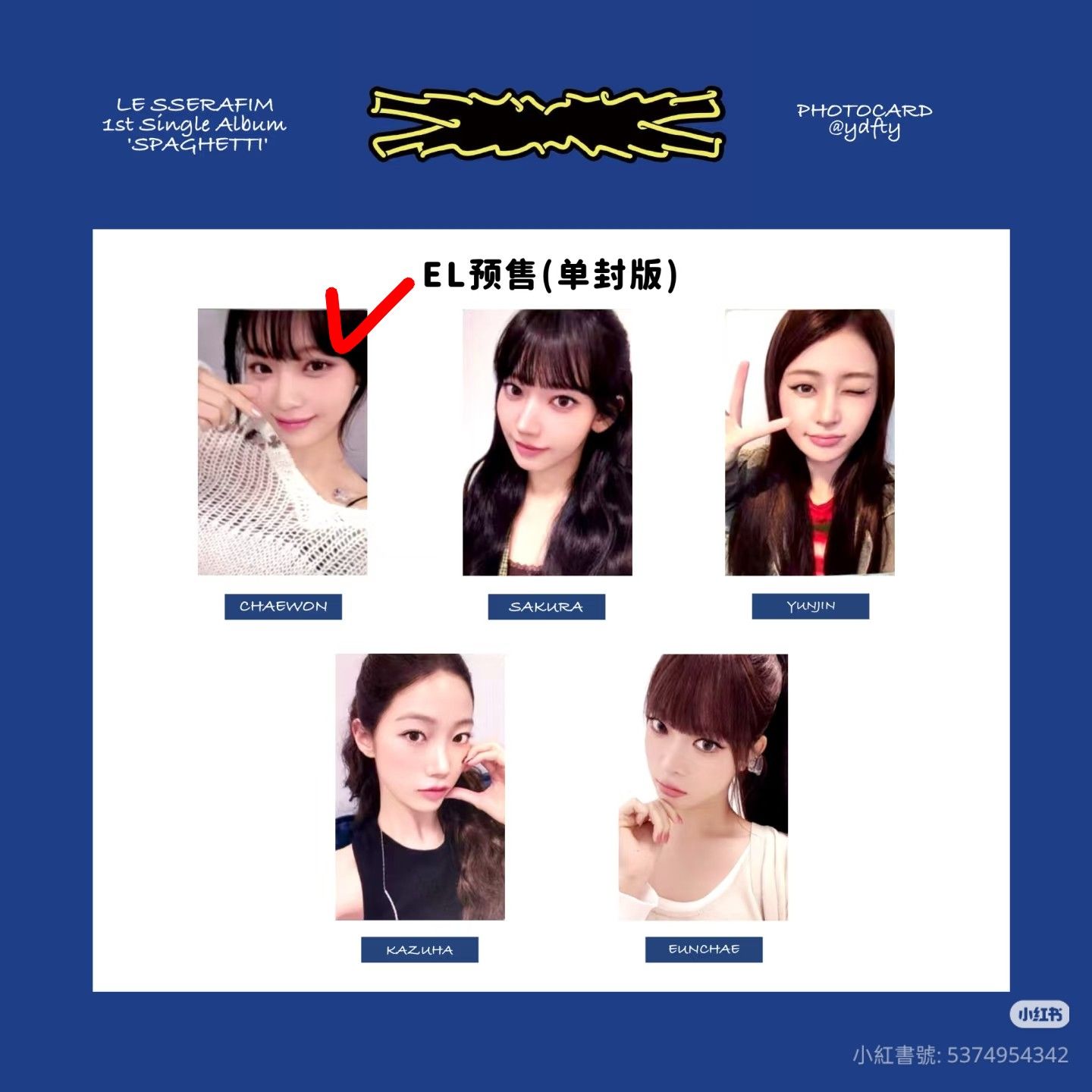 義大利麵采葉 採團未拆