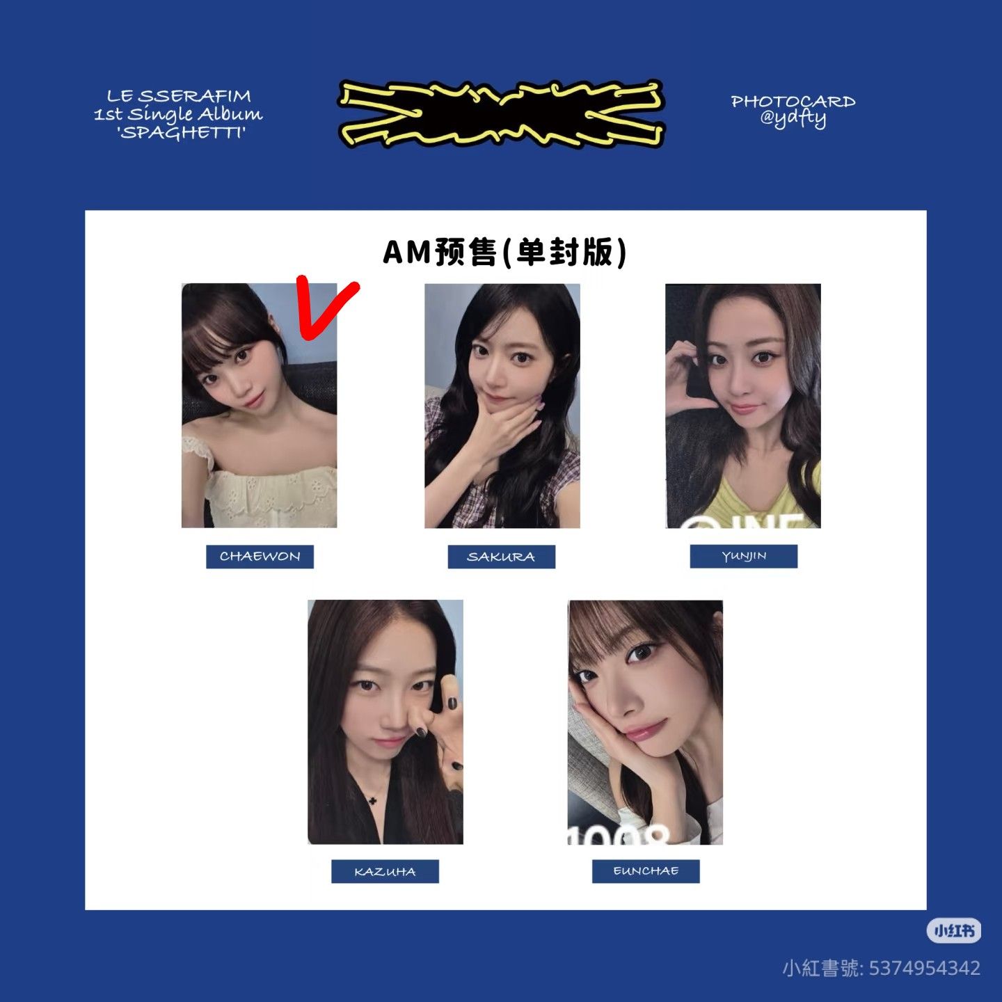 義大利麵采葉 採團未拆