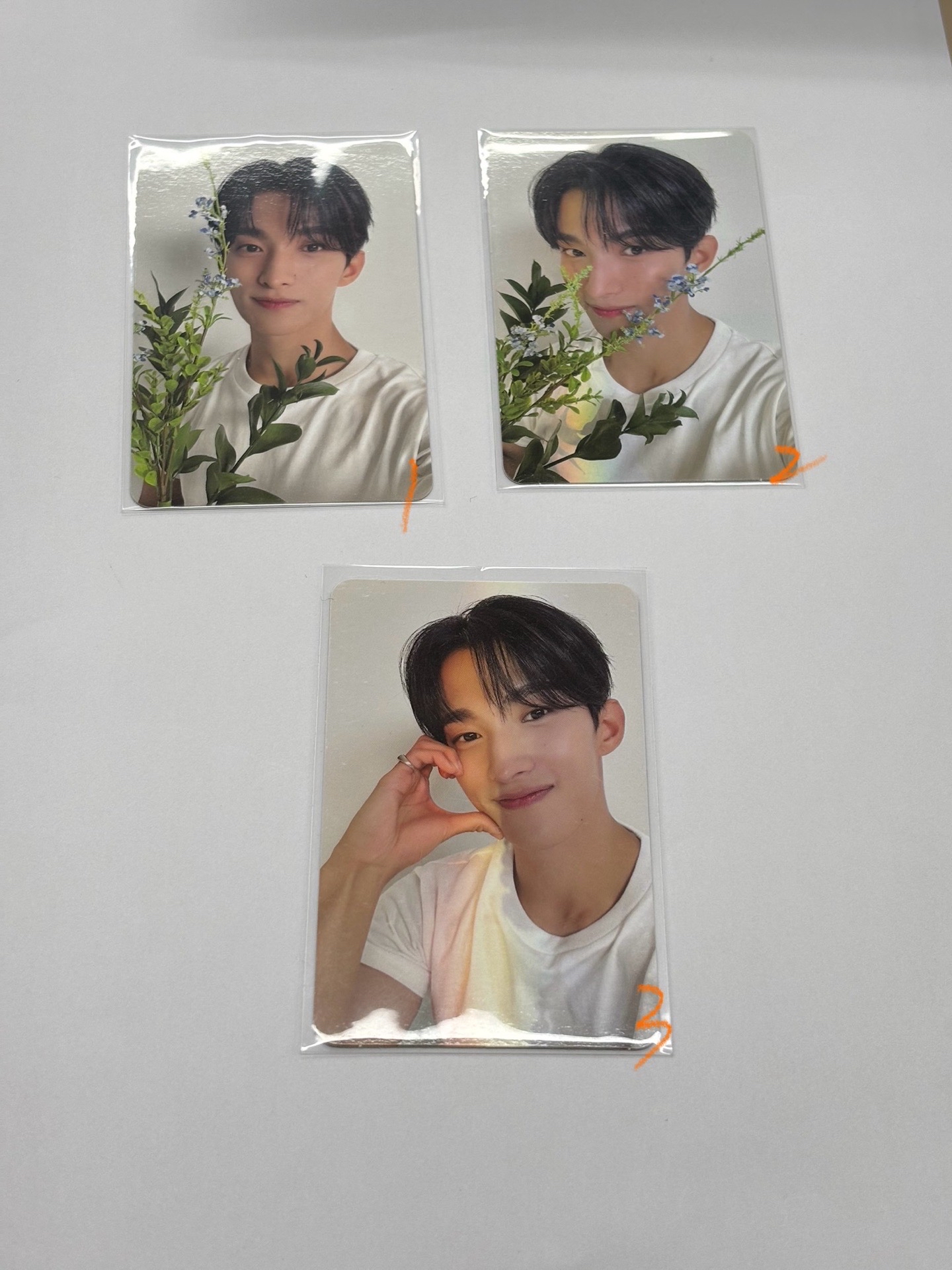 💛精選輯 克拉盤隨機卡 碩