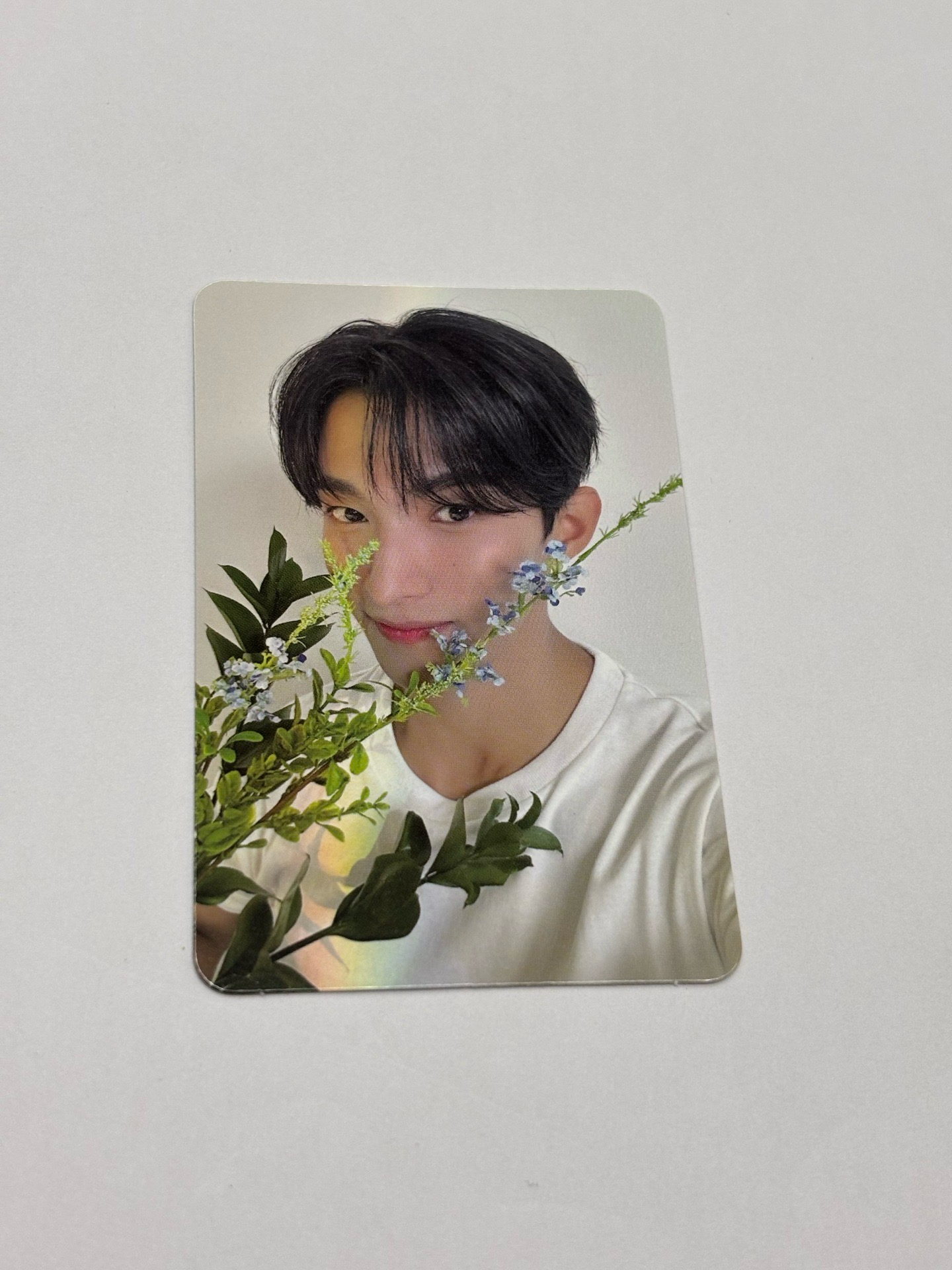 精選輯 克拉盤 隨機卡 碩