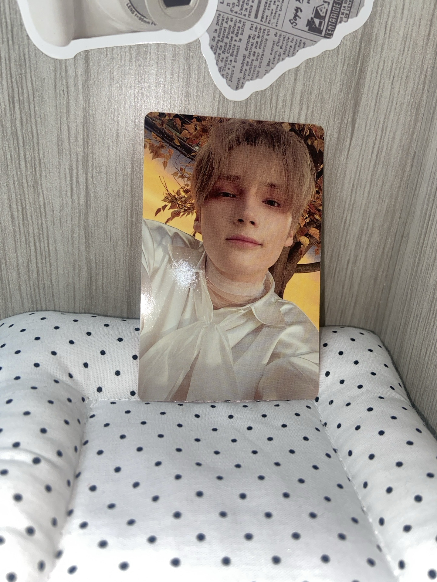 迷六 專輯卡 單封 Light版 休寧凱