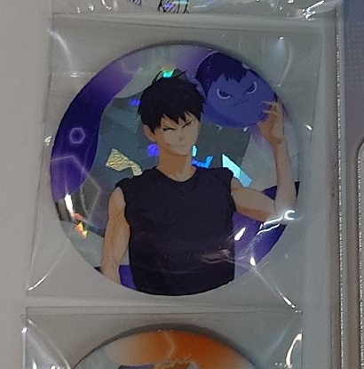 沙灘排球徽 影山