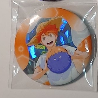 沙灘排球徽章 日向