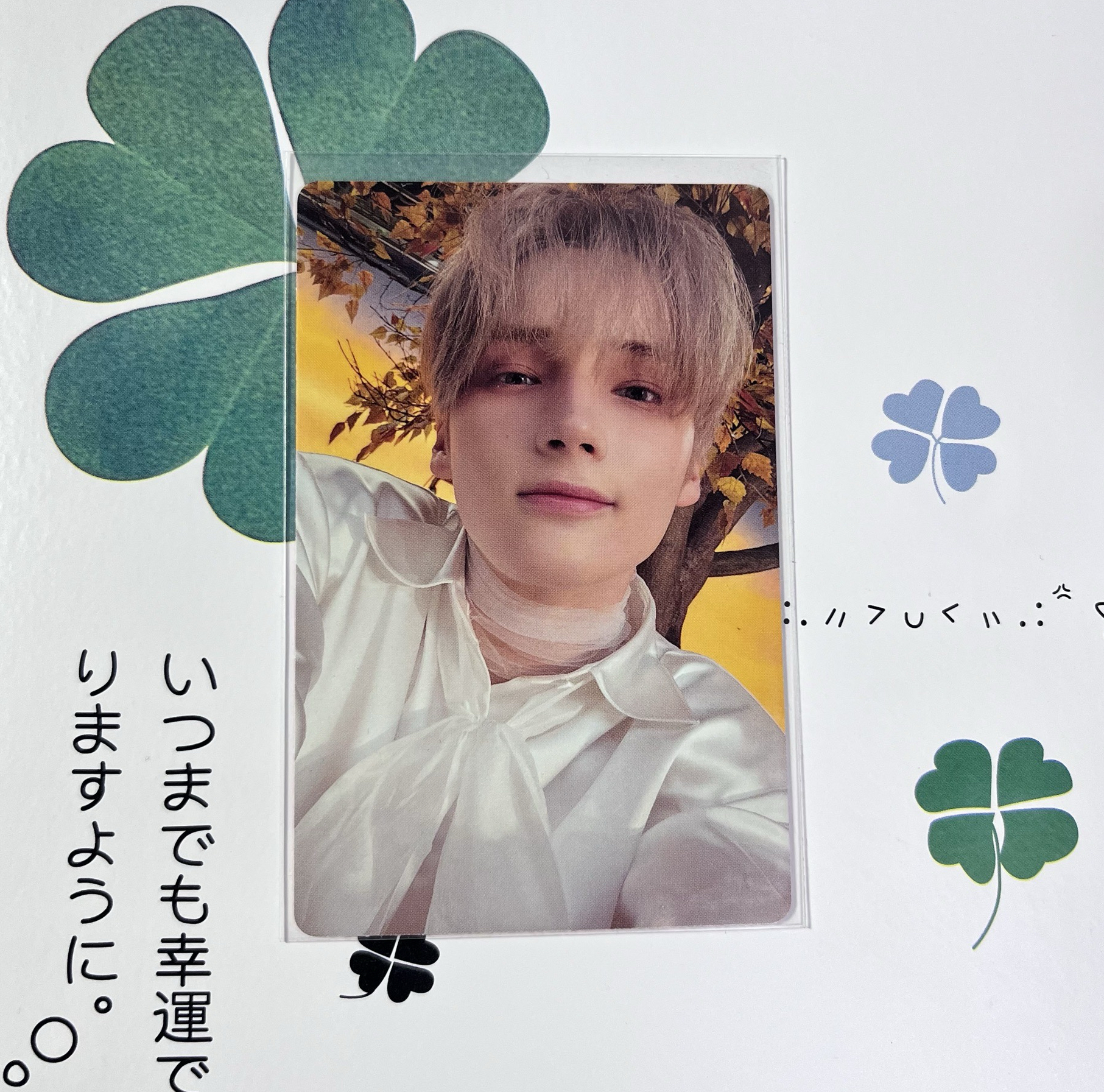 迷六單封專卡寧