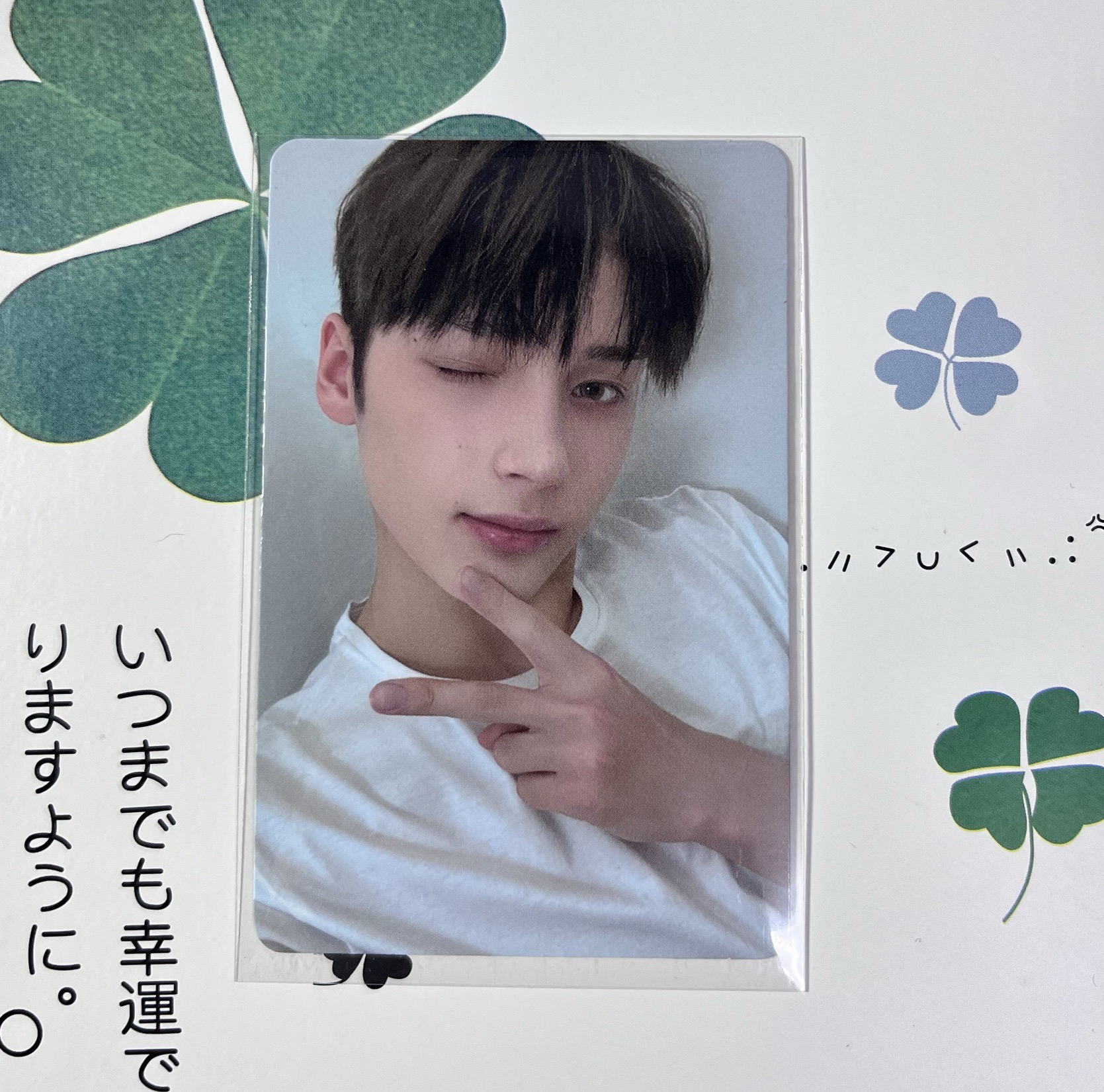 迷四單封專卡寧