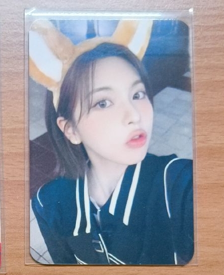 ✅ 裴 135 | 遊樂園裴