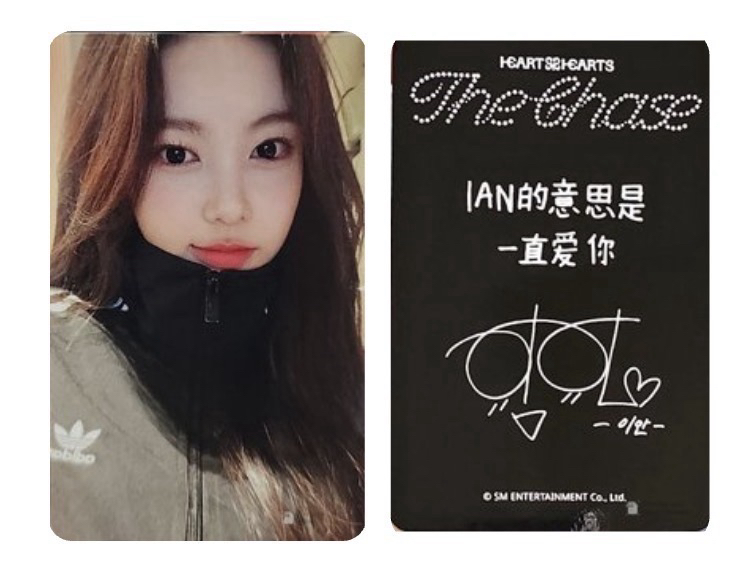 H2H sr1.0 中文卡背 ian 