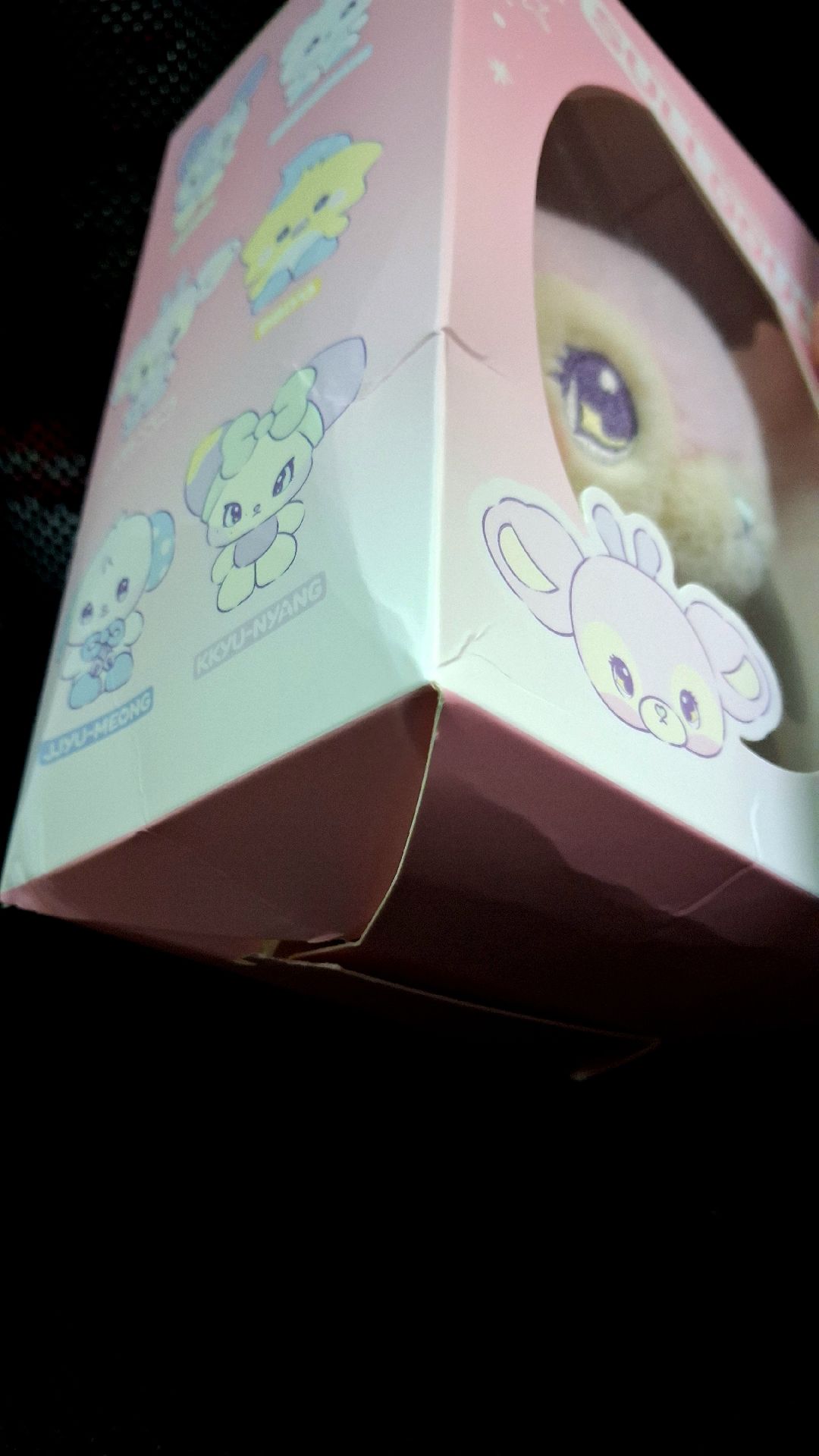 NMIXX Sullyoon 薛侖娥 薛大娃