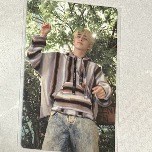 迷11 WVS特典卡（樹）