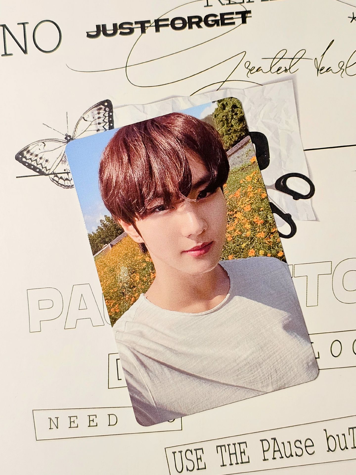 禎元 fate 首爾場限卡